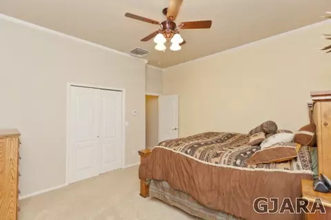 633 Galena Dr, Fruita, CO 81521 photo 31