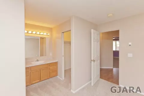 431 Gold Rush Dr, Fruita, CO 81521 photo 13