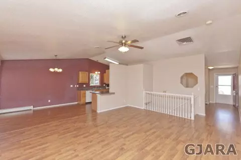 431 Gold Rush Dr, Fruita, CO 81521 photo 4
