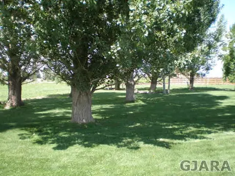 1050 19 Rd, Fruita, CO 81521 photo 6