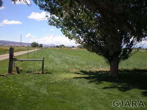 1050 19 Rd, Fruita, CO 81521 photo 5