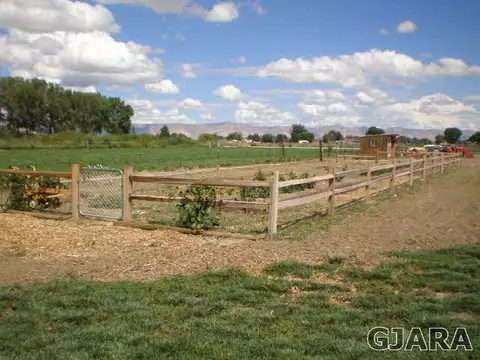 1050 19 Rd, Fruita, CO 81521 photo 30