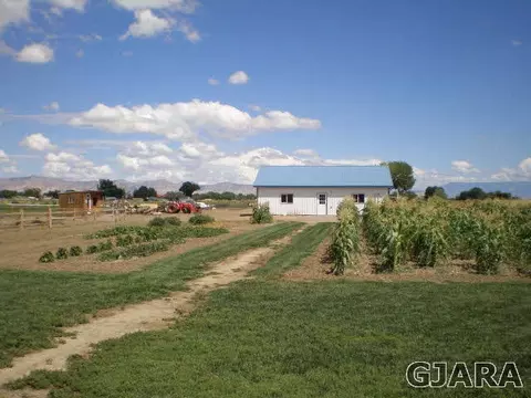 1050 19 Rd, Fruita, CO 81521 photo 32