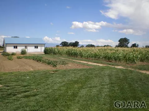 1050 19 Rd, Fruita, CO 81521 photo 31