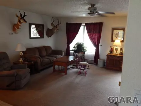 733 E Columbine Ave, Fruita, CO 81521 photo 6