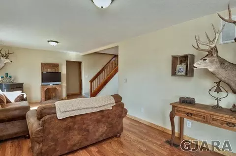 1190 18 12 Rd, Fruita, CO 81521 photo 4