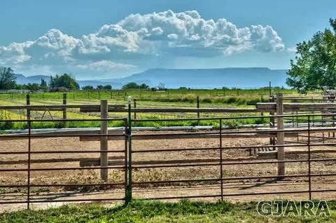 1190 18 12 Rd, Fruita, CO 81521 photo 33