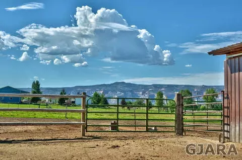 1190 18 12 Rd, Fruita, CO 81521 photo 35