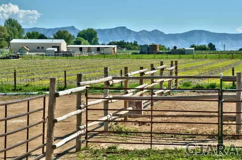 1190 18 12 Rd, Fruita, CO 81521 photo 34