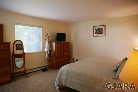 554 N Willow St, Fruita, CO 81521 photo 17