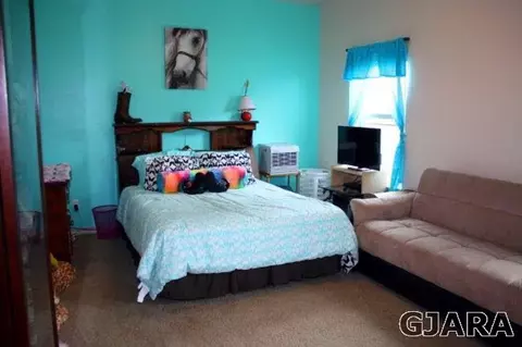 1477 Satterfield Ave, Fruita, CO 81521 photo 14