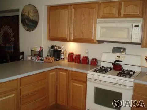 1102 Windsor Park Dr, Fruita, CO 81521 photo 5