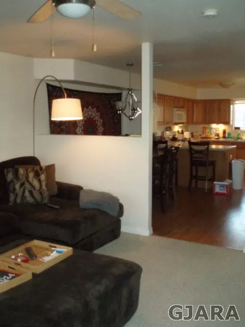 1102 Windsor Park Dr, Fruita, CO 81521 photo 3