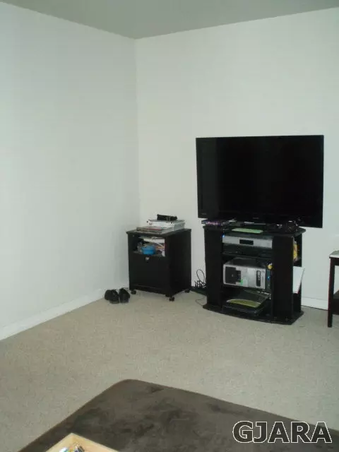 1102 Windsor Park Dr, Fruita, CO 81521 photo 4