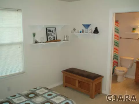 1102 Windsor Park Dr, Fruita, CO 81521 photo 9