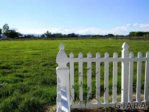 1181 17 12 Rd, Fruita, CO 81521 photo 10