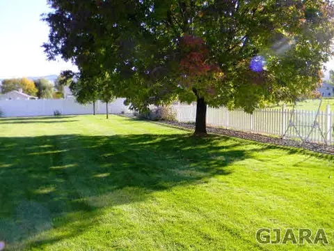 1181 17 12 Rd, Fruita, CO 81521 photo 12