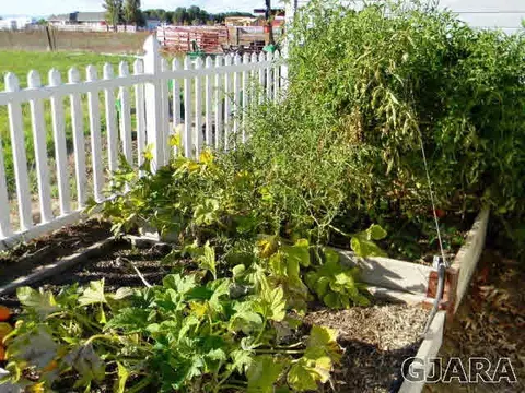 1181 17 12 Rd, Fruita, CO 81521 photo 9