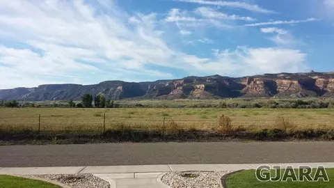 969 Murray St, Fruita, CO 81521 photo 20
