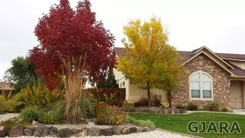 969 Murray St, Fruita, CO 81521 photo 3