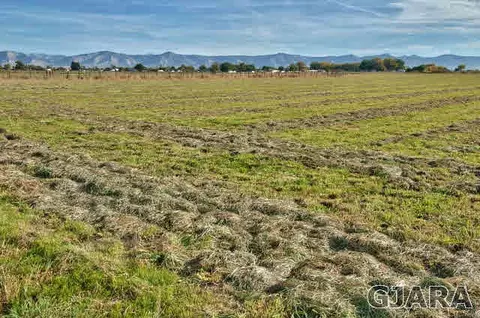 938 19 12 Rd, Fruita, CO 81521 photo 35