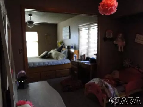 219 W Ottley Ave, Fruita, CO 81521 photo 13
