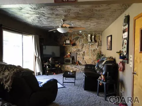 219 W Ottley Ave, Fruita, CO 81521 photo 8