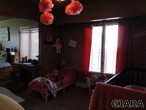 219 W Ottley Ave, Fruita, CO 81521 photo 14