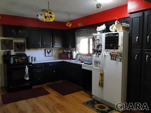 219 W Ottley Ave, Fruita, CO 81521 photo 6