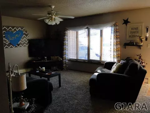 219 W Ottley Ave, Fruita, CO 81521 photo 4