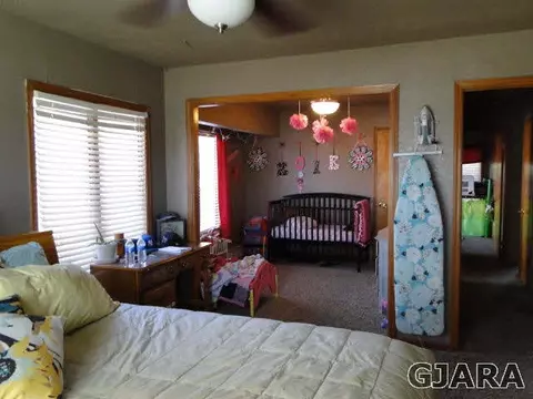 219 W Ottley Ave, Fruita, CO 81521 photo 9
