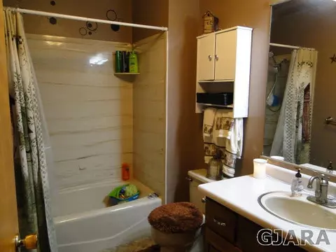 219 W Ottley Ave, Fruita, CO 81521 photo 15