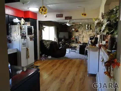 219 W Ottley Ave, Fruita, CO 81521 photo 5