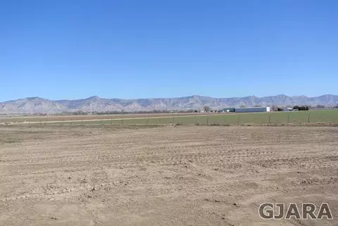 1170 Toscano Rd, Fruita, CO 81521 photo 5