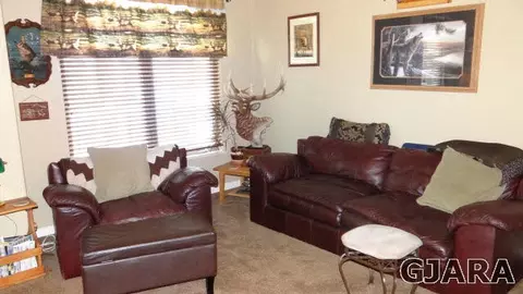 1030 Wingate Dr, Fruita, CO 81521 photo 27