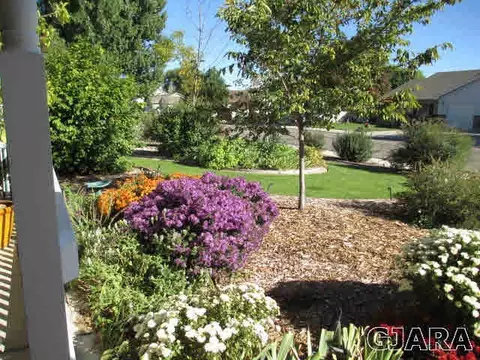 409 Elderberry Dr, Fruita, CO 81521 photo 3