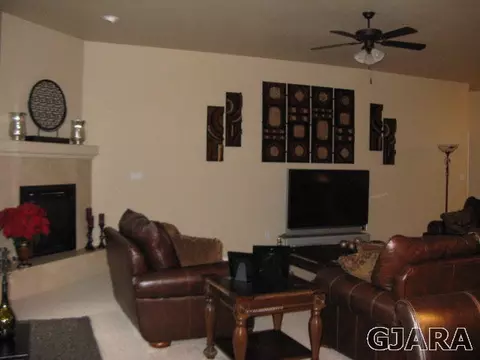 511 Celestite Dr, Fruita, CO 81521 photo 4