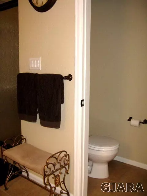 511 Celestite Dr, Fruita, CO 81521 photo 15