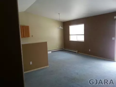 1132 Powell St, Fruita, CO 81521 photo 3