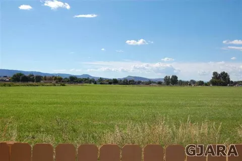 1037 Wingate Dr, Fruita, CO 81521 photo 20