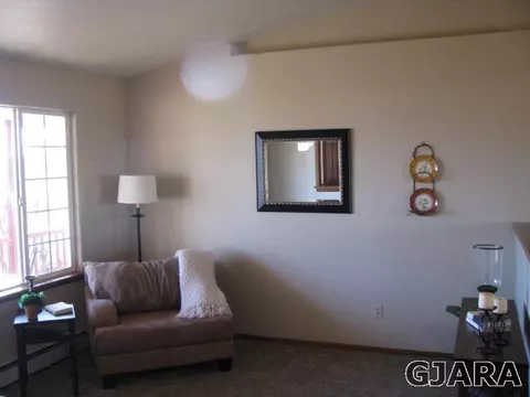 1321 17 Rd, Fruita, CO 81521 photo 4