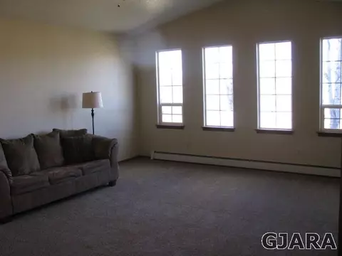 1321 17 Rd, Fruita, CO 81521 photo 5