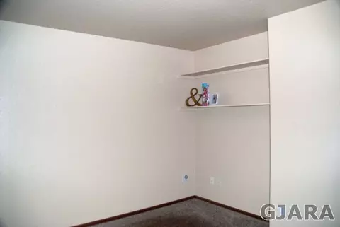 218 Pinyon Dr, Fruita, CO 81521 photo 10