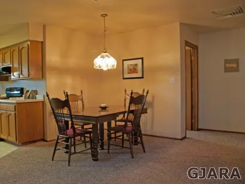 218 Pinyon Dr, Fruita, CO 81521 photo 3