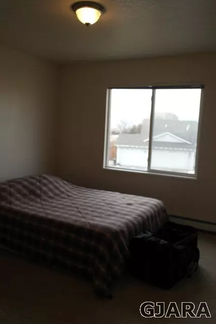 236 Drumlin Cir, Fruita, CO 81521 photo 12