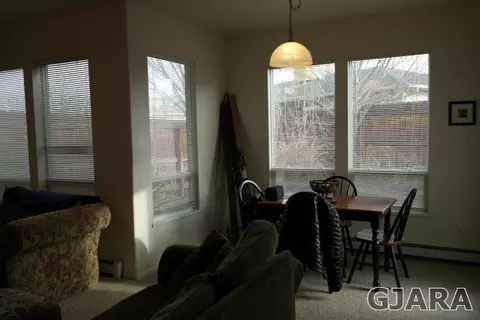 236 Drumlin Cir, Fruita, CO 81521 photo 4