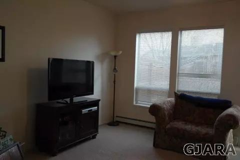 236 Drumlin Cir, Fruita, CO 81521 photo 8