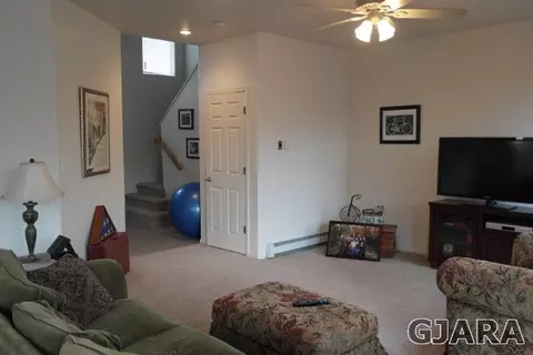 236 Drumlin Cir, Fruita, CO 81521 photo 5