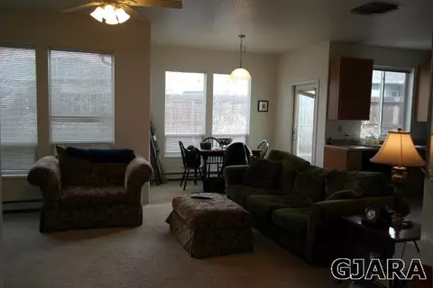 236 Drumlin Cir, Fruita, CO 81521 photo 7