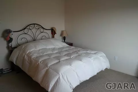236 Drumlin Cir, Fruita, CO 81521 photo 20